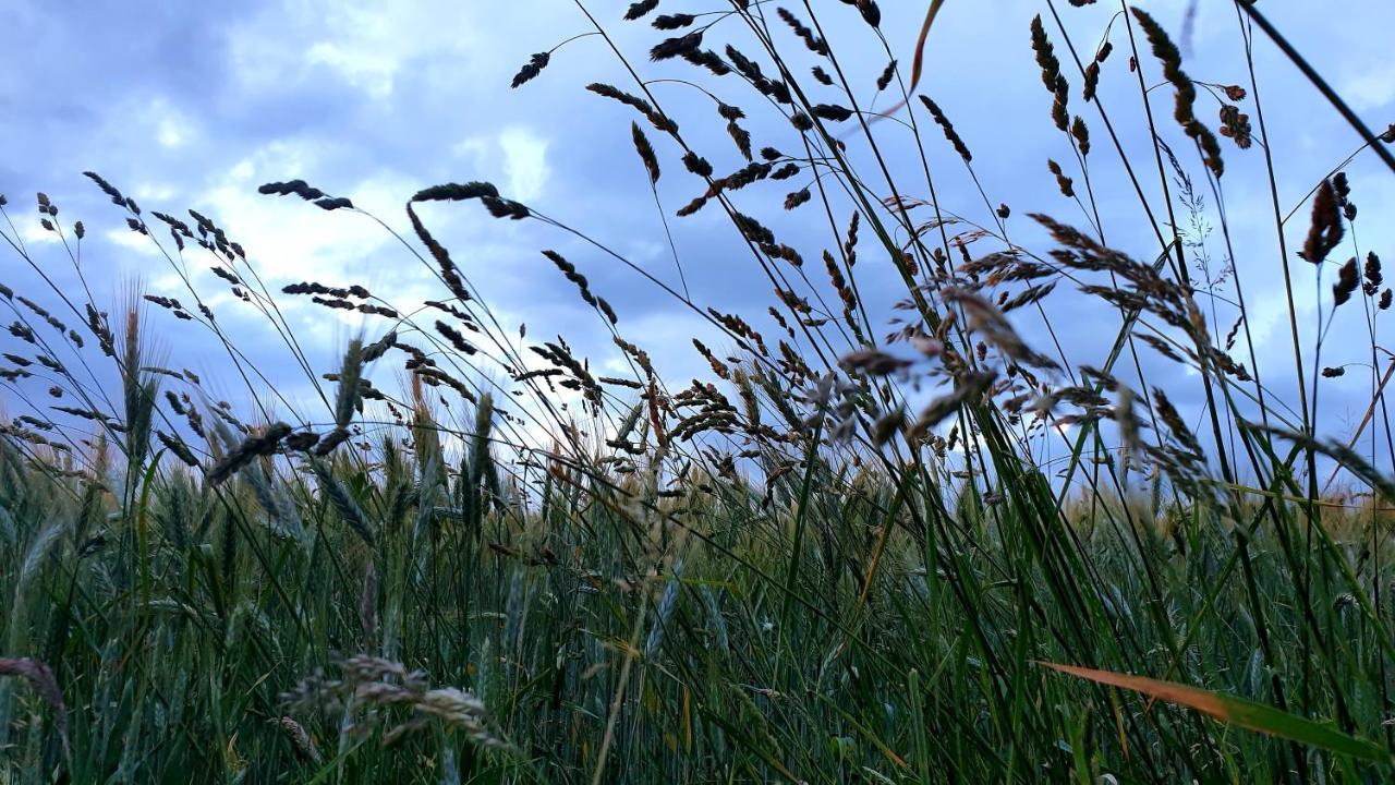 Rouet Nature Trébas Eksteriør billede